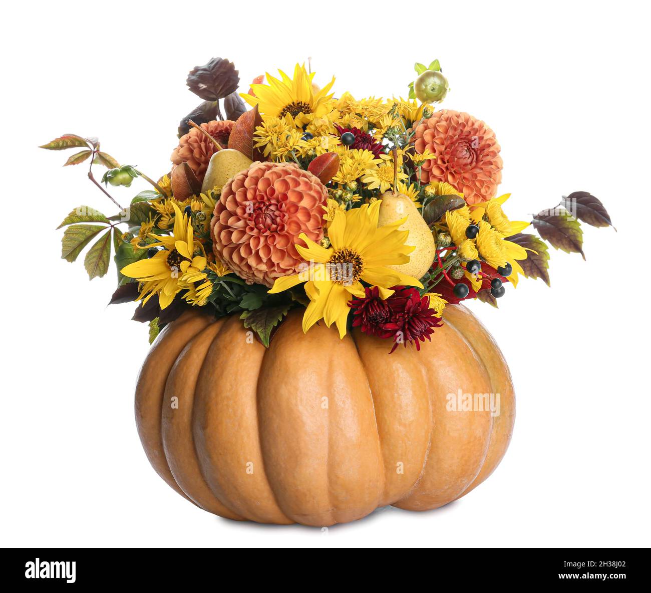 Beautiful autumn bouquet in pumpkin on white background Stock Photo - Alamy