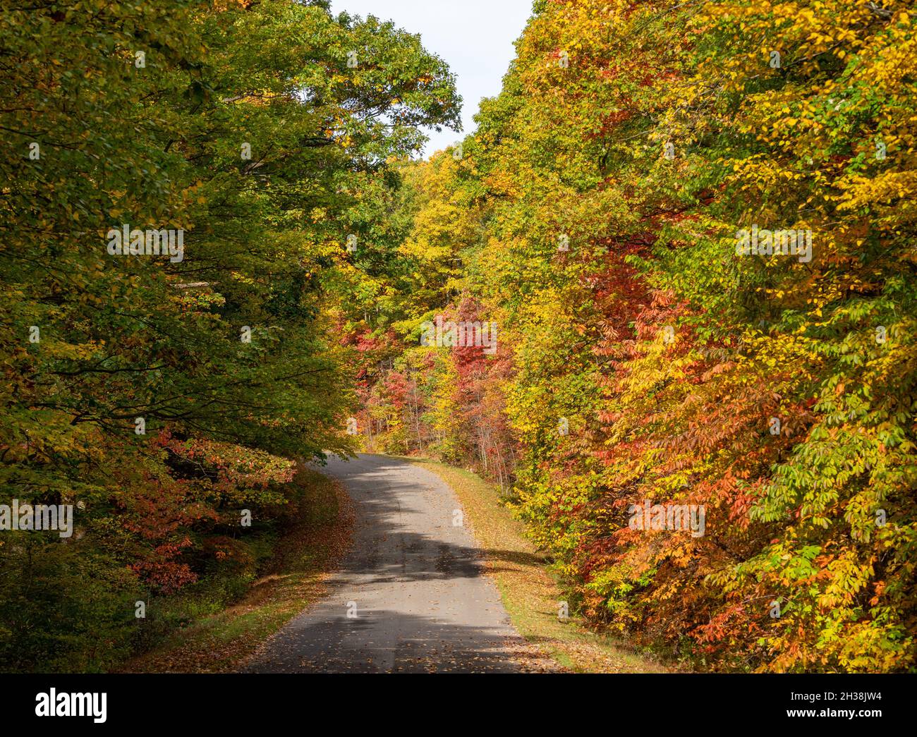 Paved road in the Coopers Rock state park in the autumn near Cheat Lake near Morgantown, WV Stock Photo