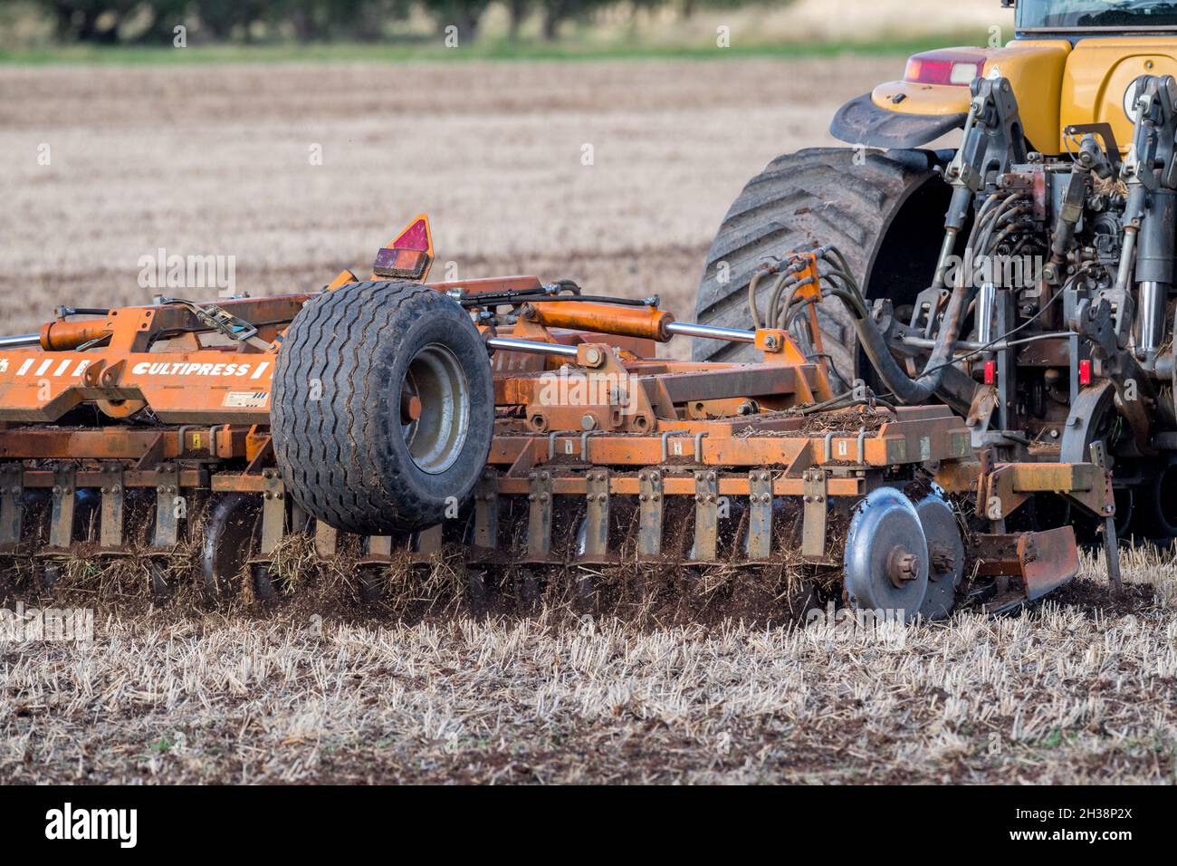 Farmer using a Challenger Agricultural Crawler tractor and pulling a 5.5m Cultipress across a field. Stock Photo