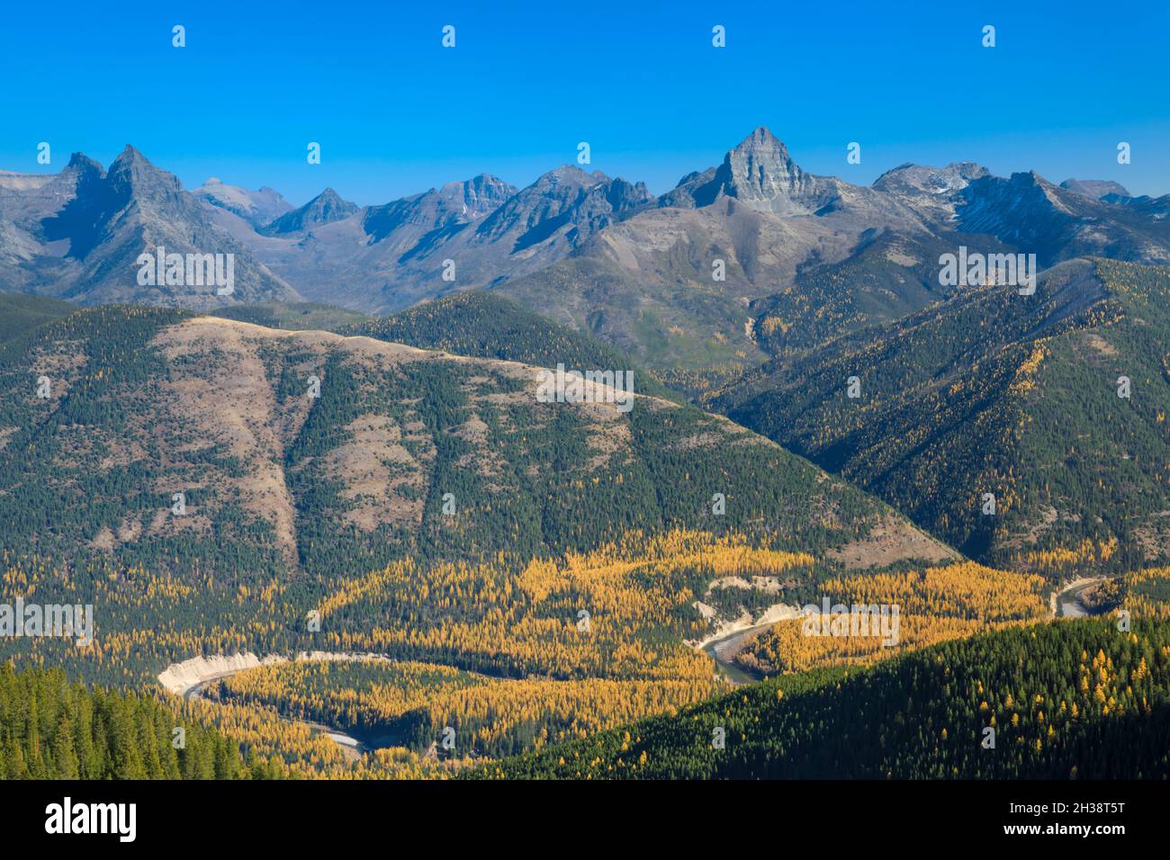 peaks of glacier national park rising above autumn larch of the middle fork flathead river valley viewed from grant ridge near essex, montana Stock Photo