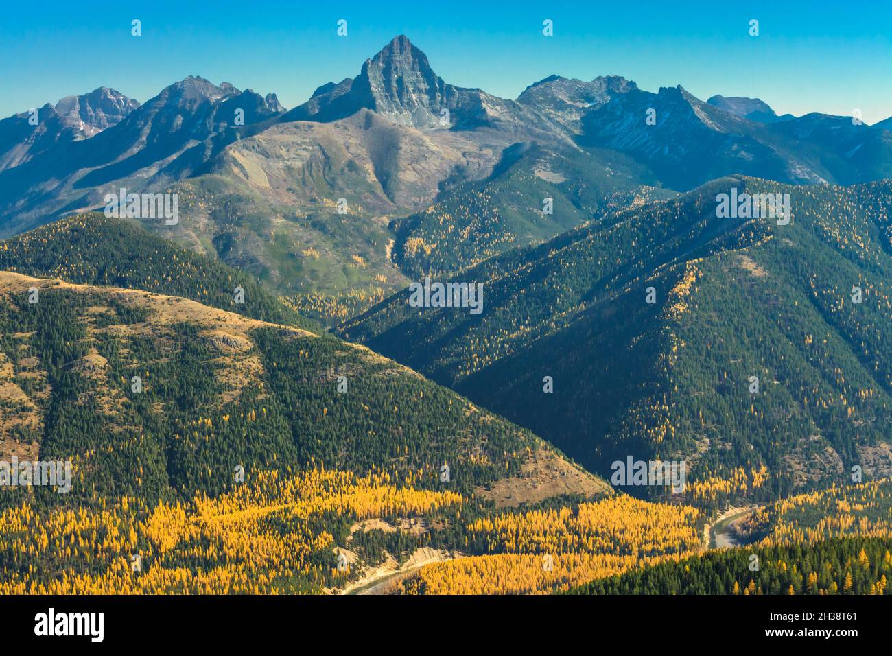 peaks of glacier national park rising above autumn larch of the middle fork flathead river valley viewed from grant ridge near essex, montana Stock Photo