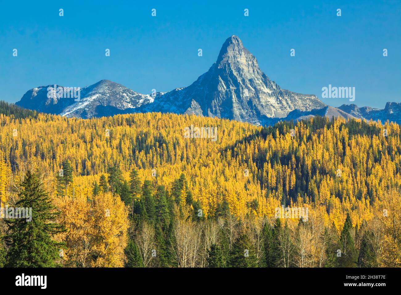 mount saint nicholas and foothills of autumn larch in glacier national park rising above the middle fork flathead valley near essex, montana Stock Photo