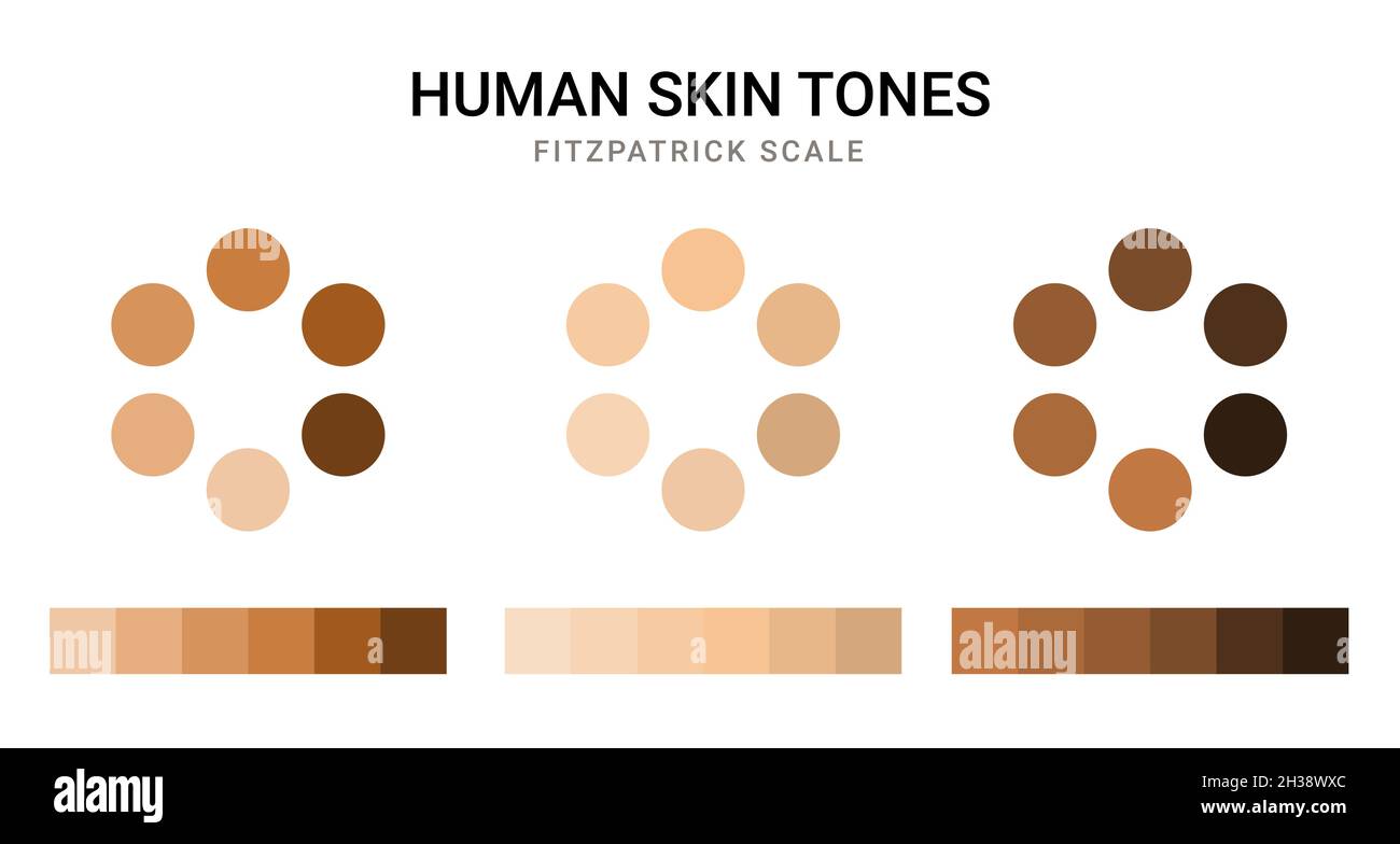 Human skin tone color palette 7511504 Vector Art at Vecteezy