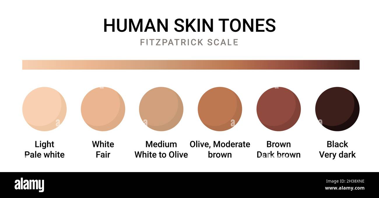Skin tone color scale chart. Brown palette vector human skin infographic  banner icon Stock Vector Image & Art - Alamy