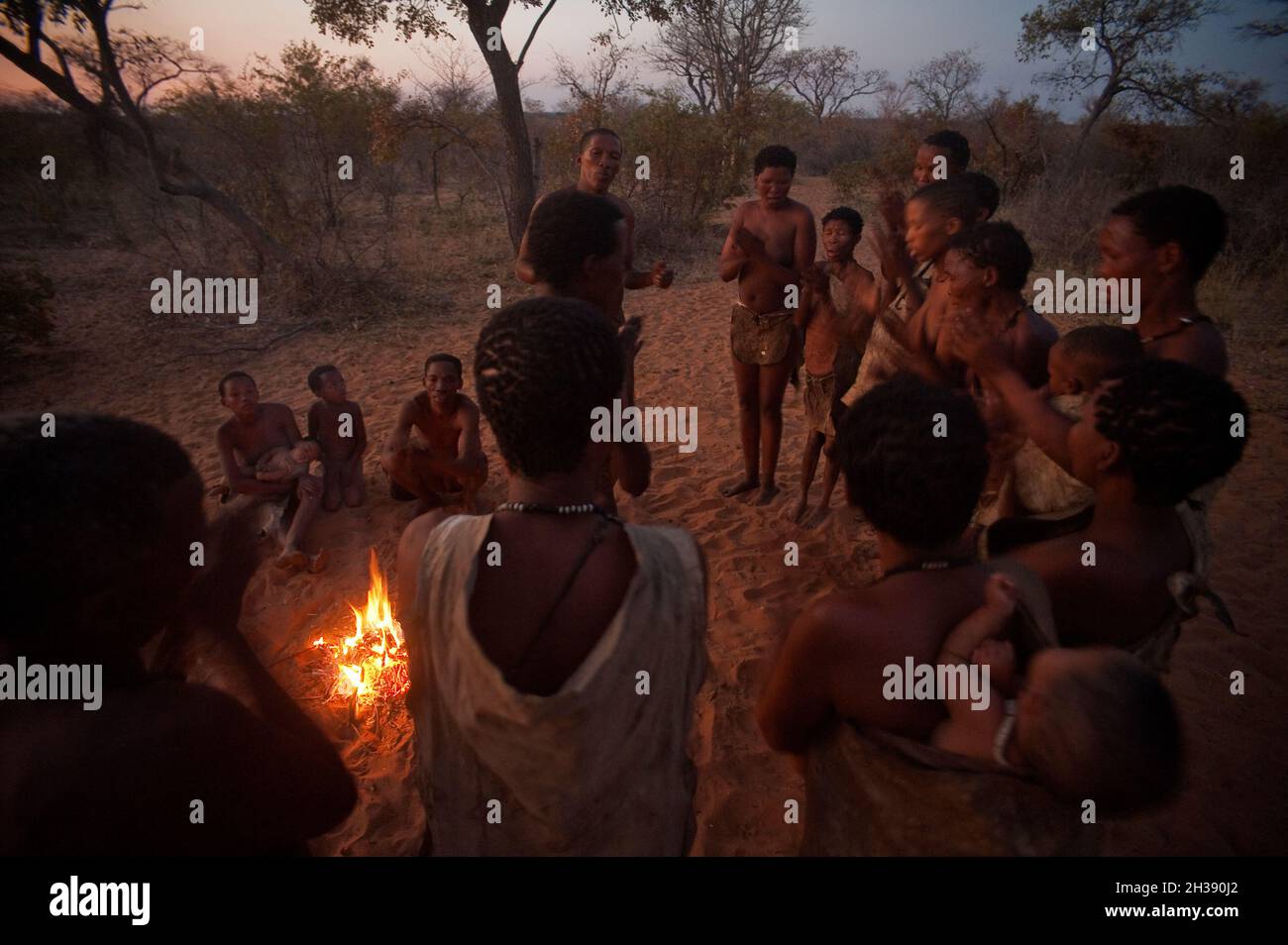Bushman People Around The Campfire Performing A Traditional Dance At Dusk Grashoek Namibia