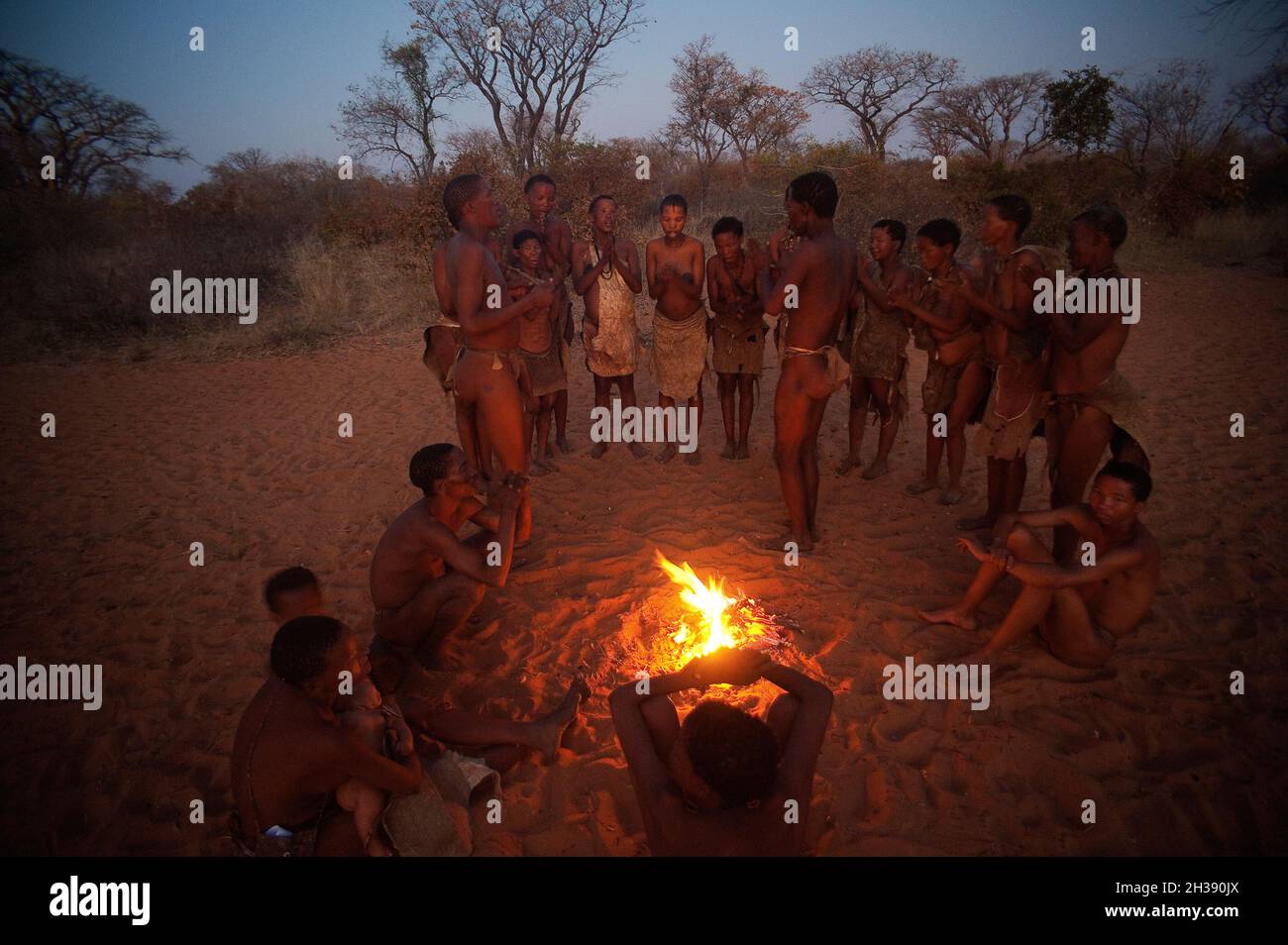 Bushman People Around The Campfire Performing A Traditional Dance At Dusk Grashoek Namibia
