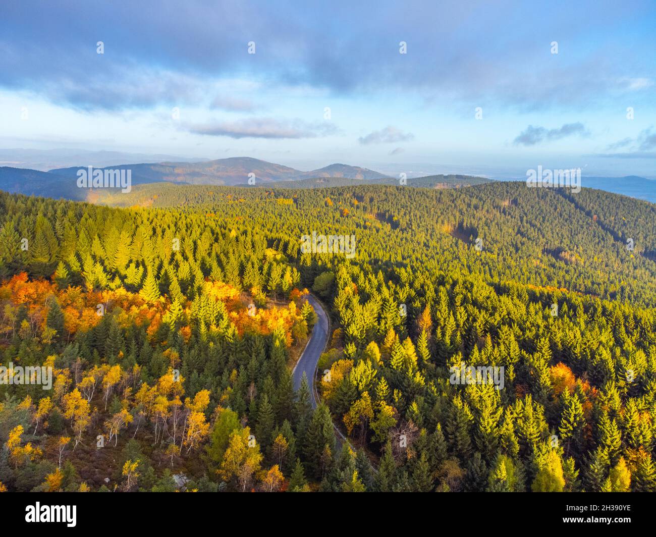 Autumn time colorful forest and narrow asphalt road Stock Photo - Alamy