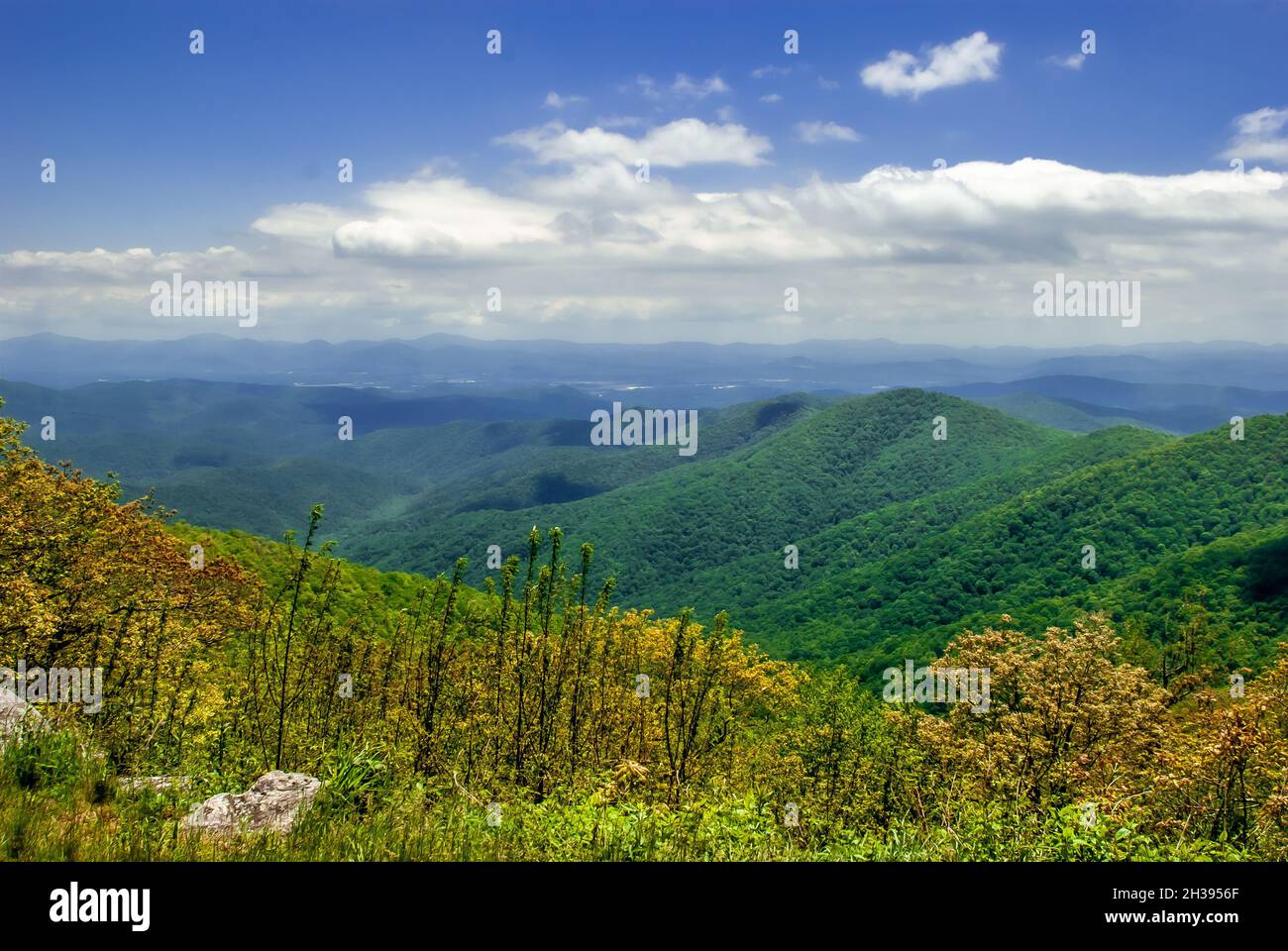 Asheville north carolina forest hires stock photography and images Alamy