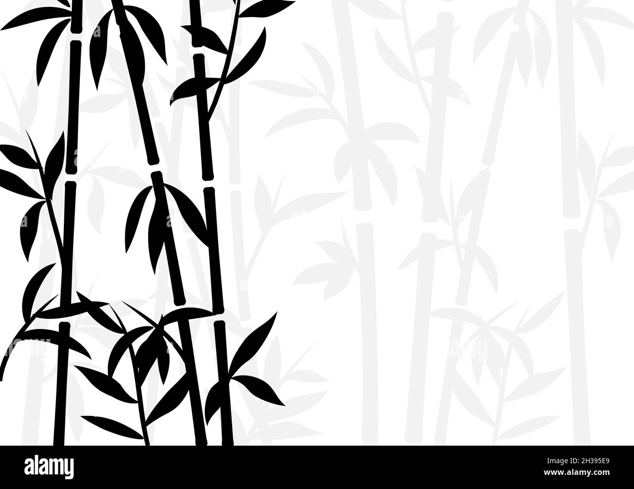 Bamboo background japanese asian plant wallpaper grass. Bamboo tree vector  pattern black and white Stock Vector Image & Art - Alamy