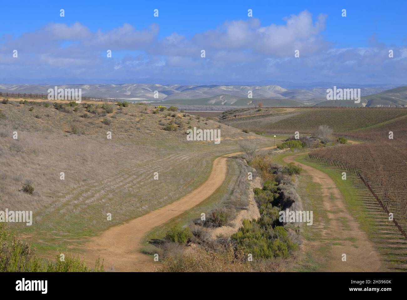 Oak trees rolling hills santa hires stock photography and images Alamy
