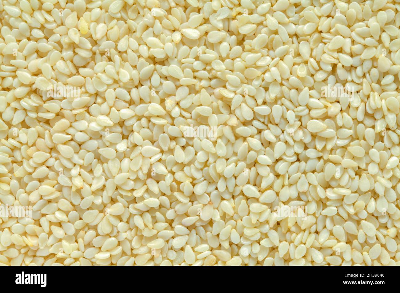 Large Pile of Sesame Seeds Background Texture. Stock Photo