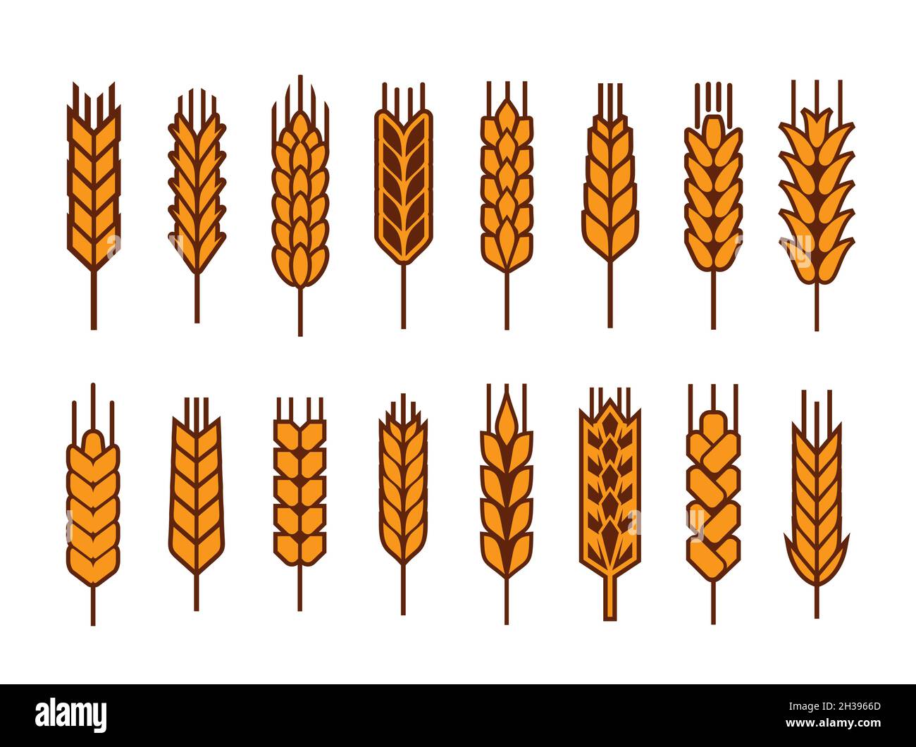 Cereal ear and spike of wheat, rye or barley millet, vector icons ...