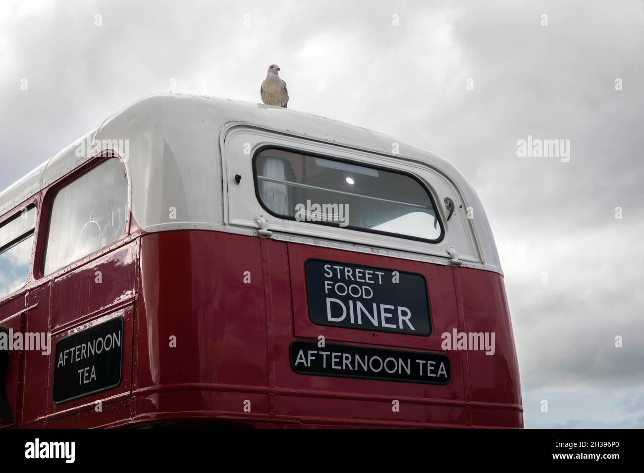 A gull sits on a bus diner at the Pier Head, Liverpool Stock Photo