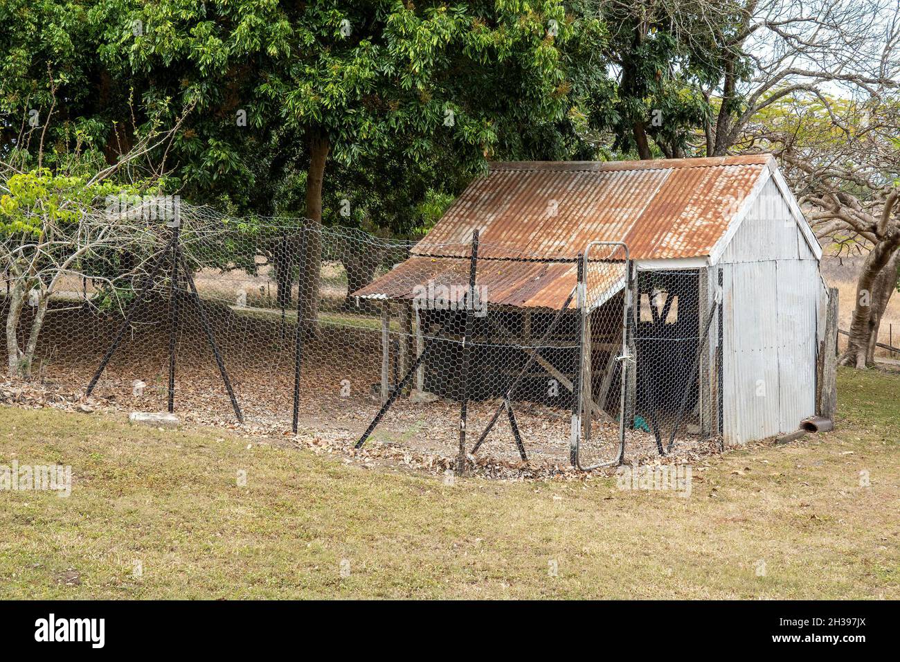 An old dilapidated rusting chicken house fenced with netted wire to form a pen enclosure Stock Photo