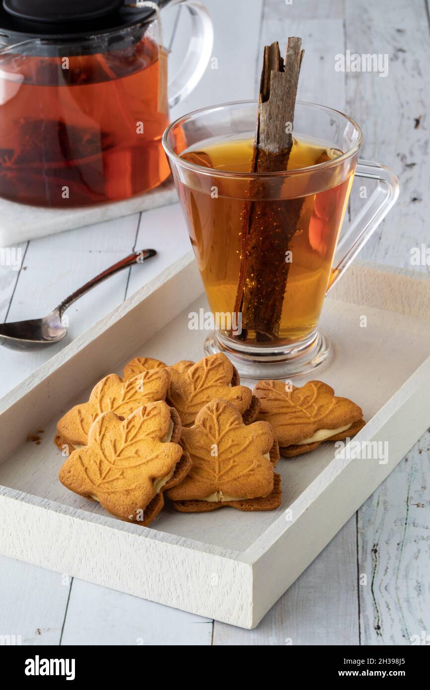 A tray of pumpkin spice cookies with a cup of cinnamon tea for snacking. Stock Photo