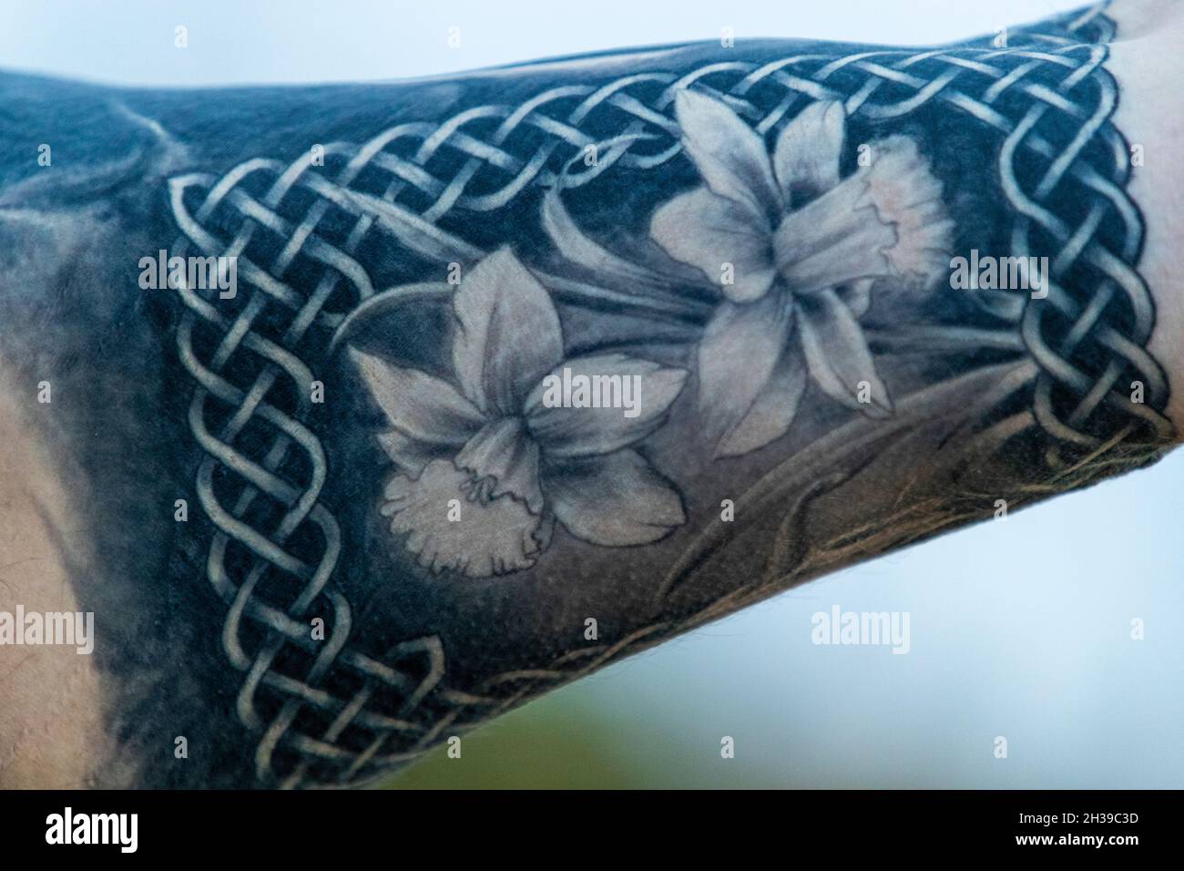 Flower Tattoo Stock Photos ~ Royalty Free Images | Page 12