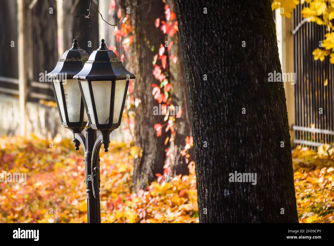 Park lanterns hi-res stock photography and images - Alamy
