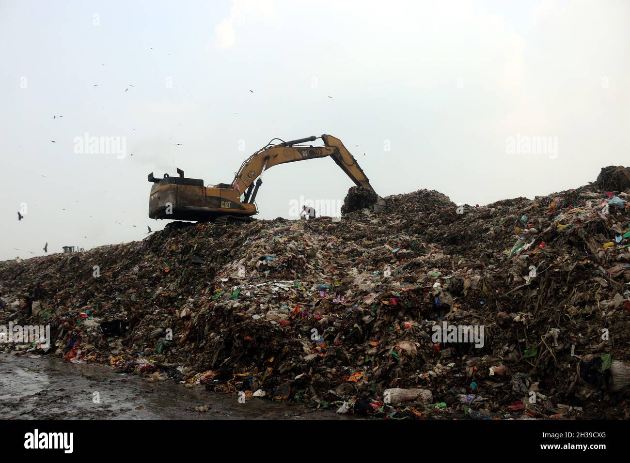 Non Exclusive: People recycle non-biodegradable waste at a garbage dump in Dhaka to be used in the recycling industry. In urban areas of Bangladesh ar Stock Photo