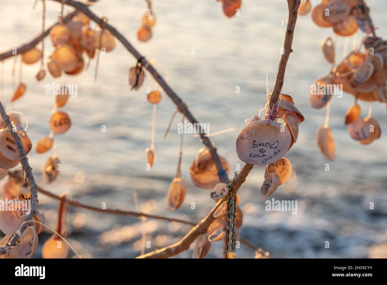Balearic Shell Aerial Shells High Resolution Stock Photography and Images - Alamy