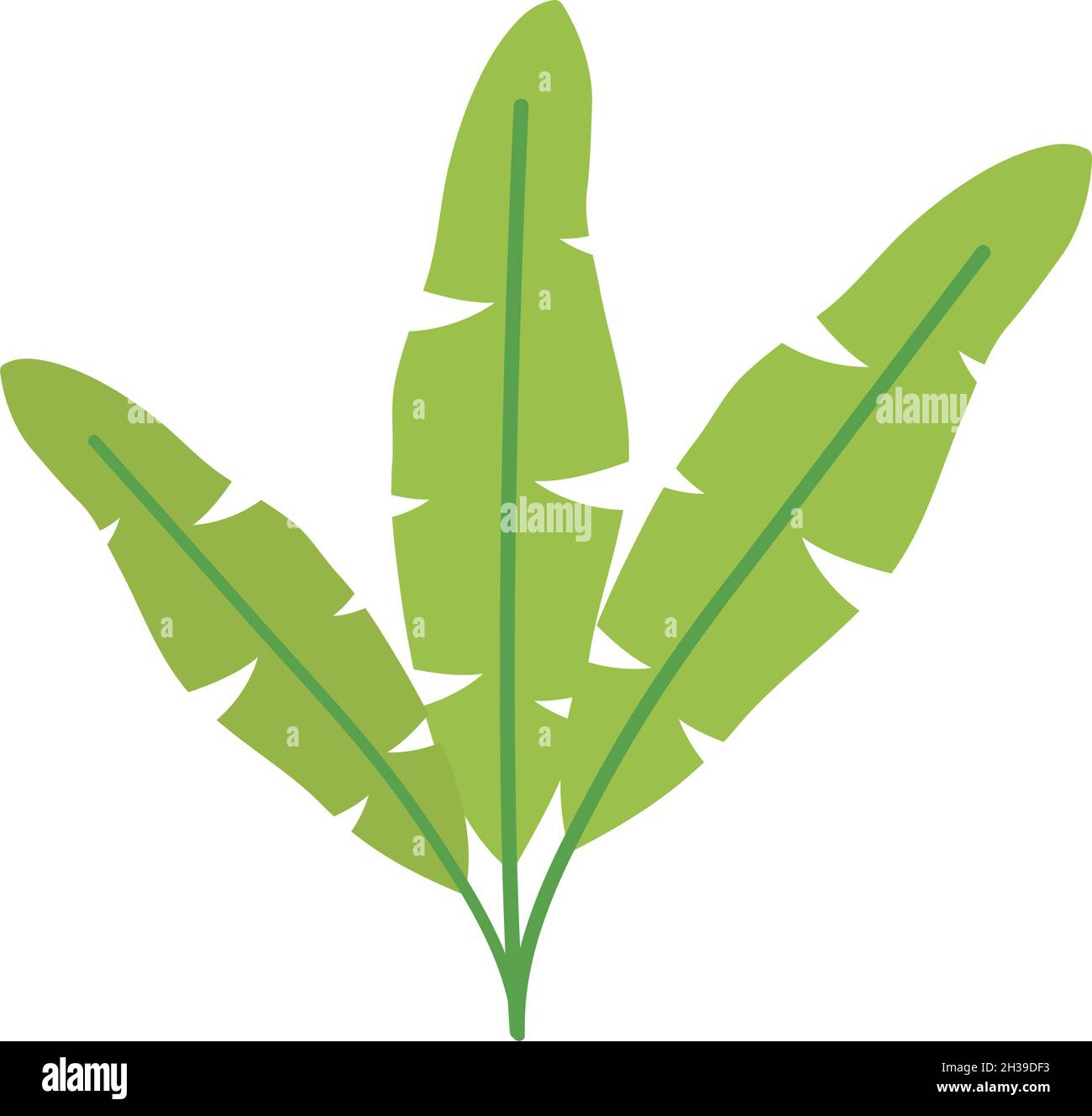 tropical leaves icon on white background Stock Vector Image & Art - Alamy