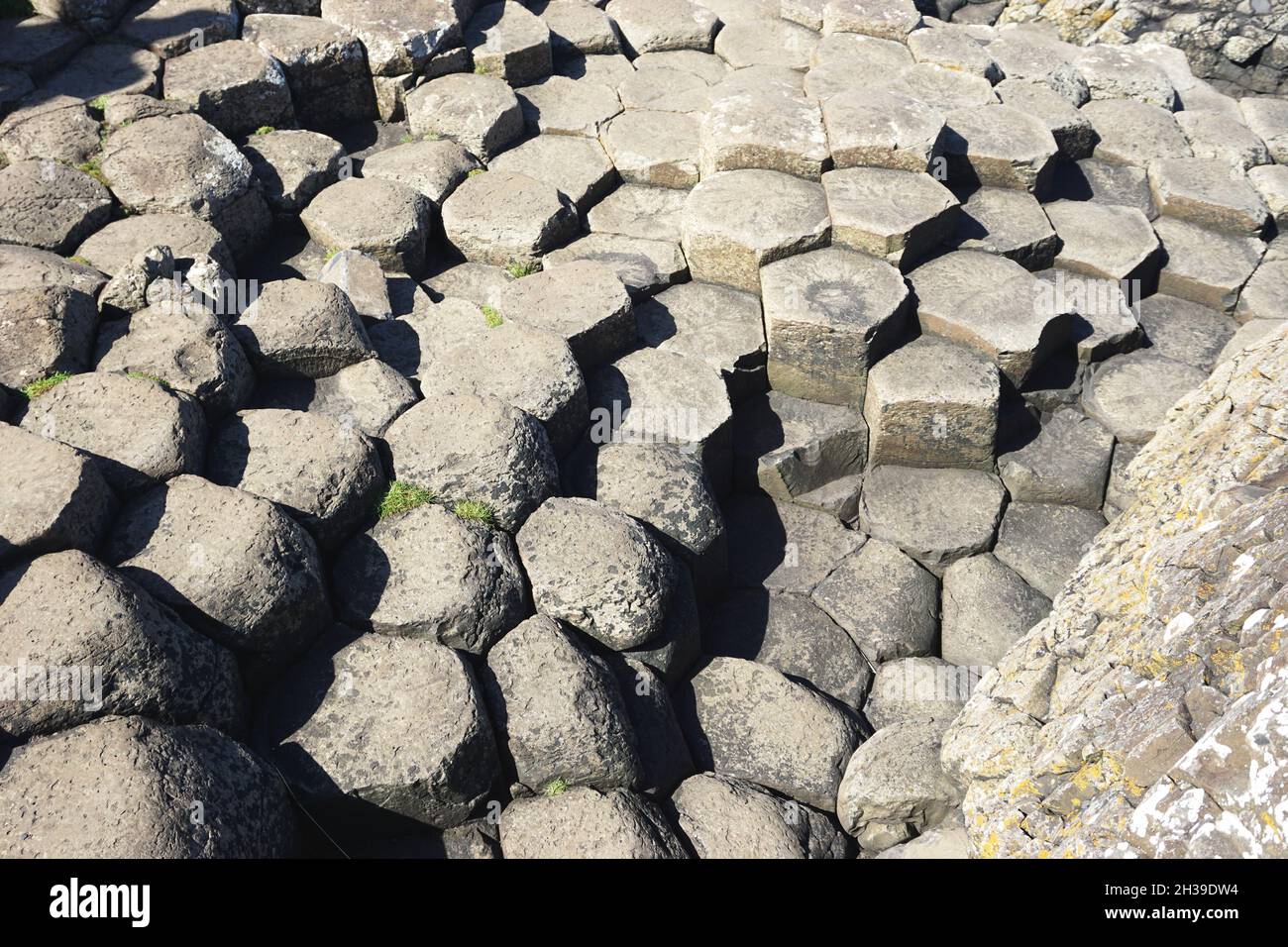 Detail of natural volcanic rock formations with interlocking shapes at the Giant’s Causeway, in County Antrim on the north coast of Northern Ireland Stock Photo
