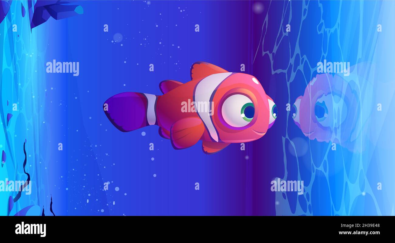 underwater clown fish wallpaper