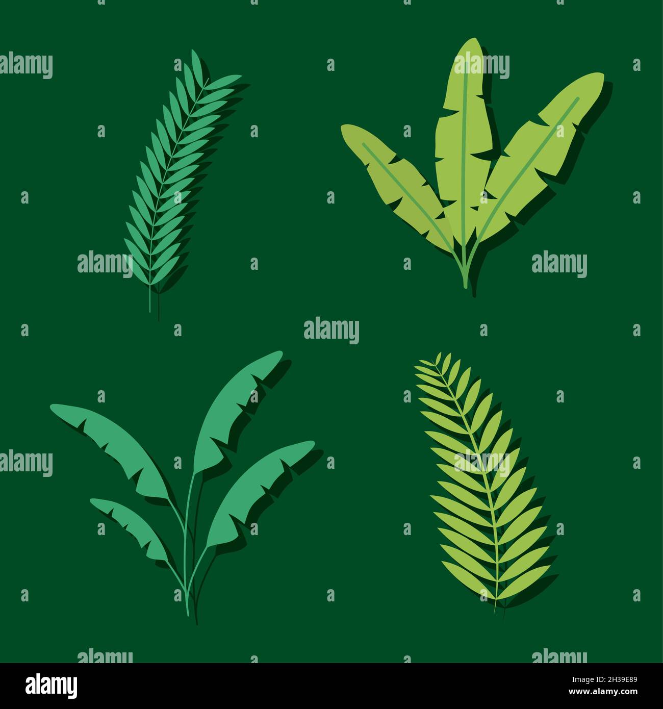 tropical leaves icon set design Stock Vector Image & Art - Alamy