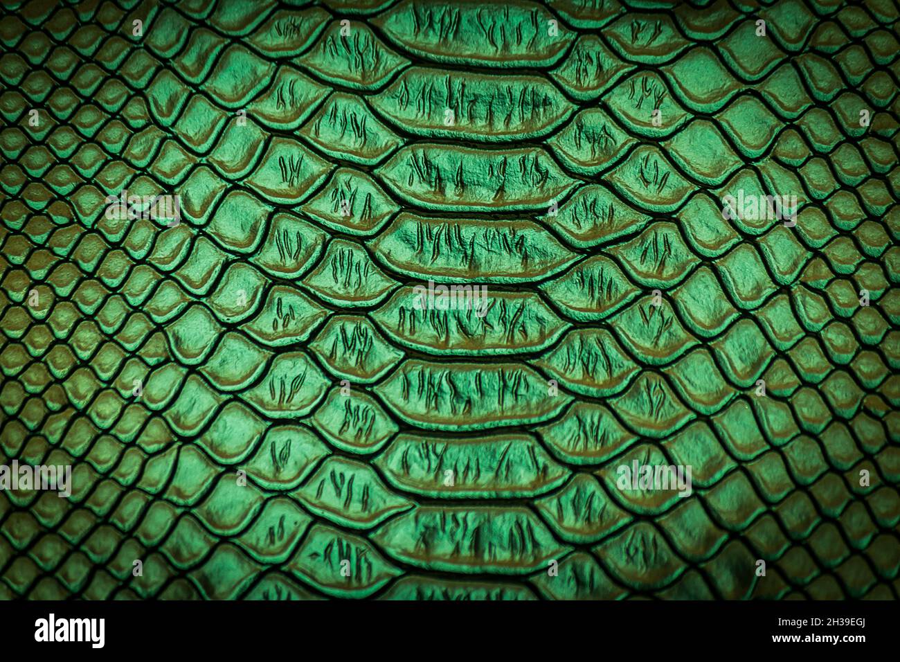 Green Crocodile Skin Pattern Texture Background Stock Photo 1481763647