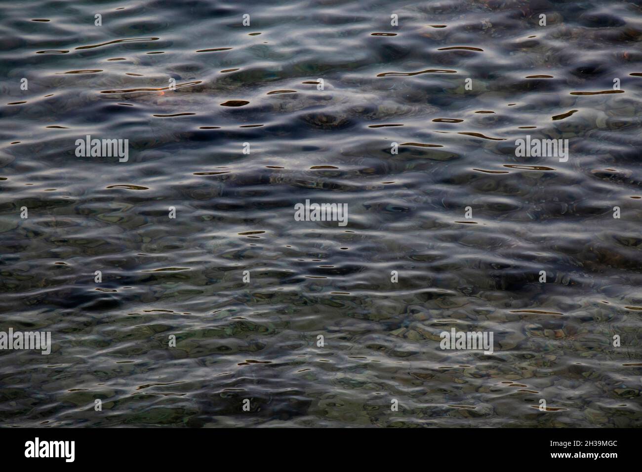 Shallow dark sea water with pebbles and rocks and seaweed on its bottom, detail Stock Photo