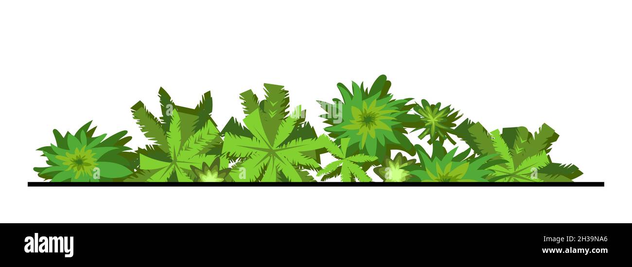 The edge of the forest. Trees and shrubs. View from above. Plant landscape. Green wildlife. Palm. Top view. Height. Illustration in cartoon style Stock Vector