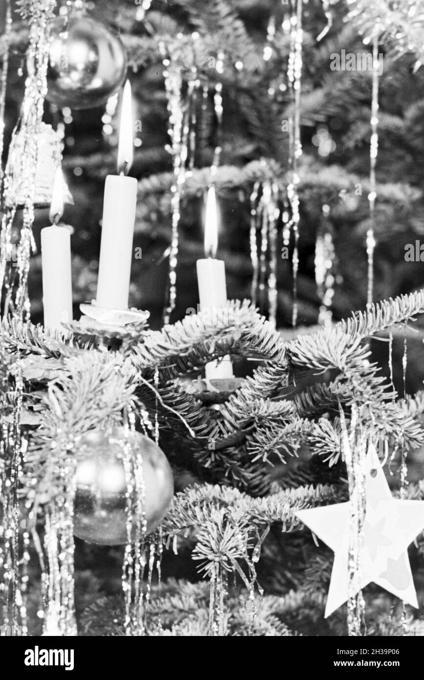 Blick auf die Kerzen im Weihnachtsbaum, Deutschland 1930er Jahre. View to the candels on a christmas tree, Germany 1930s. Stock Photo