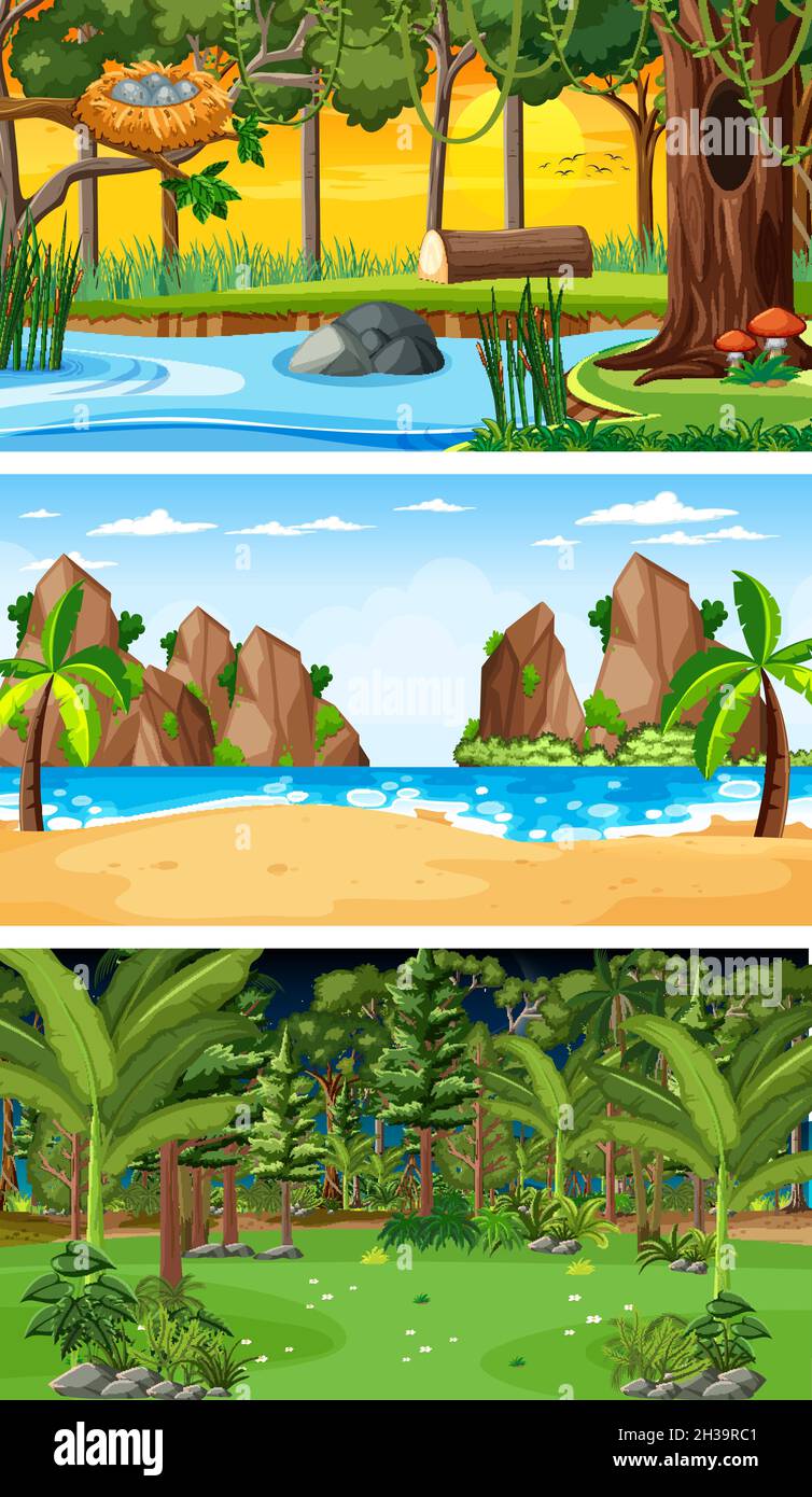 Set of three different forest horizontal scenes illustration Stock Vector