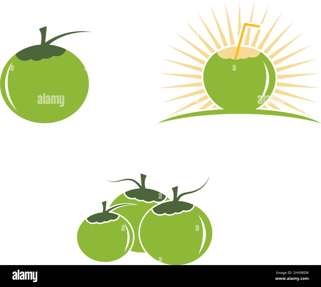 Coconut fruits vector ilustration design Stock Vector