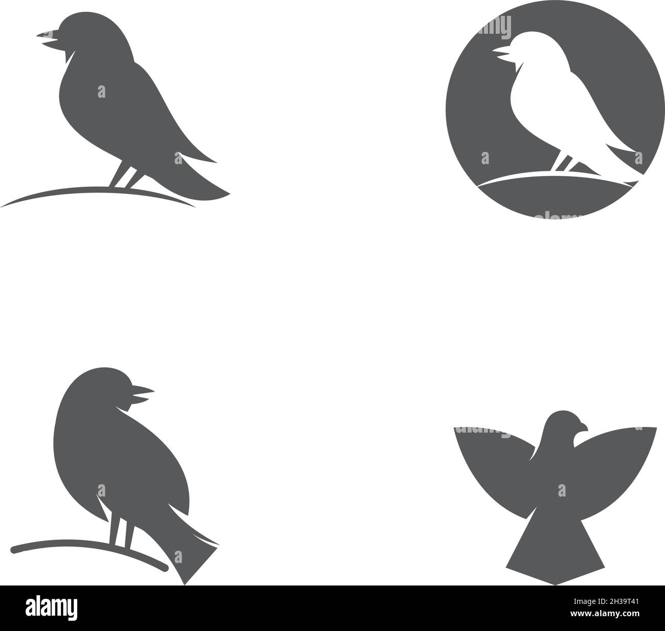 Bird Logo Template vector illustration Stock Vector Image & Art - Alamy