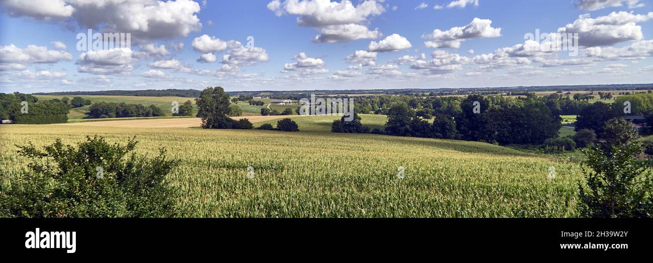 Bazouges la Perouse, France. Ille-et-Vilaine department, Britain.  Green landscape of corn fields and groves with forests on the horizon. Stock Photo