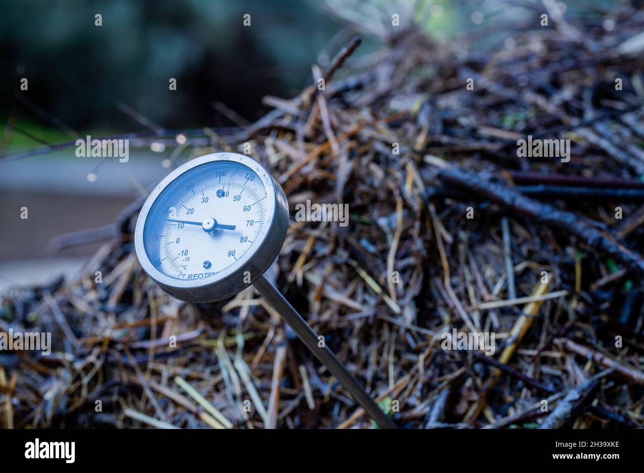 checking the temperature of a compost pile on a farm Stock Photo Alamy