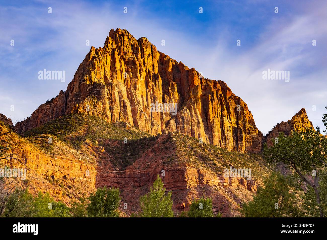 The golden light of the setting sun lights up The Watchman, a majestic rock formation in Zion National Park, Springdale, Washington County, Utah, USA. Stock Photo