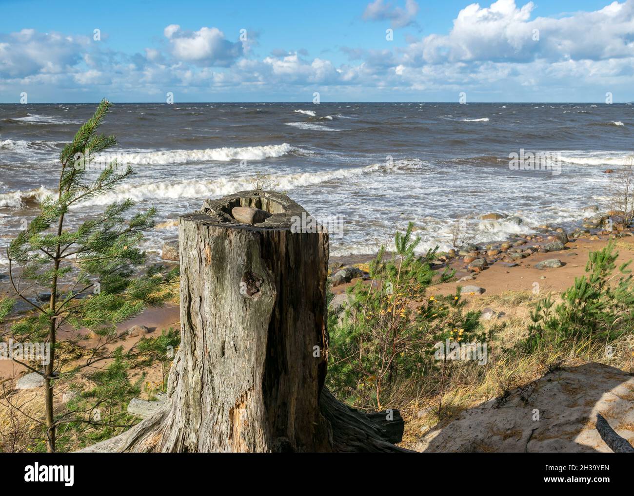 beautiful seascape with sea waves crashing on the shore and exploding ...