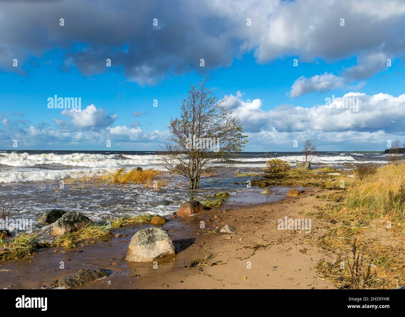 beautiful seascape with sea waves crashing on the shore and exploding ...