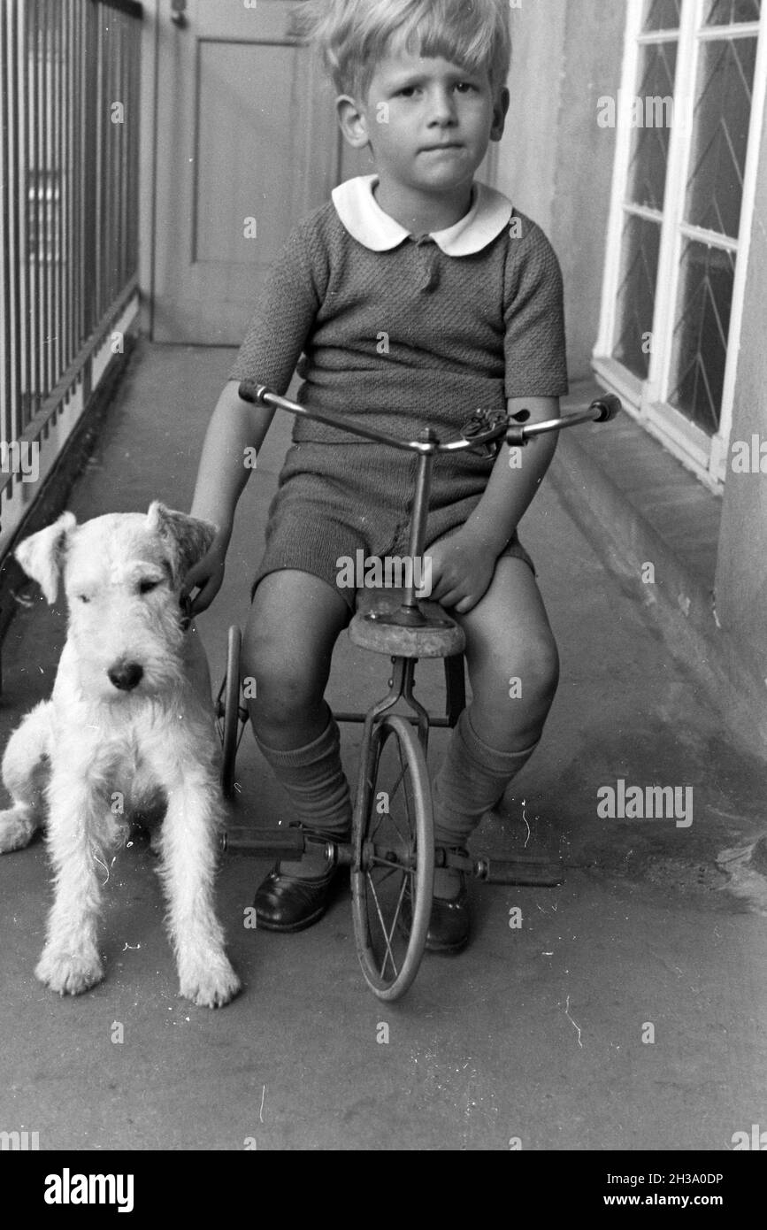 Ein Junge auf einem Dreirad auf einem Balkon hält einen Hund am Halsband fest, Deutschland 1930er Jahre. Boy on a three wheeler on a balcony holding a dog at his collar, Germany 1930s. Stock Photo