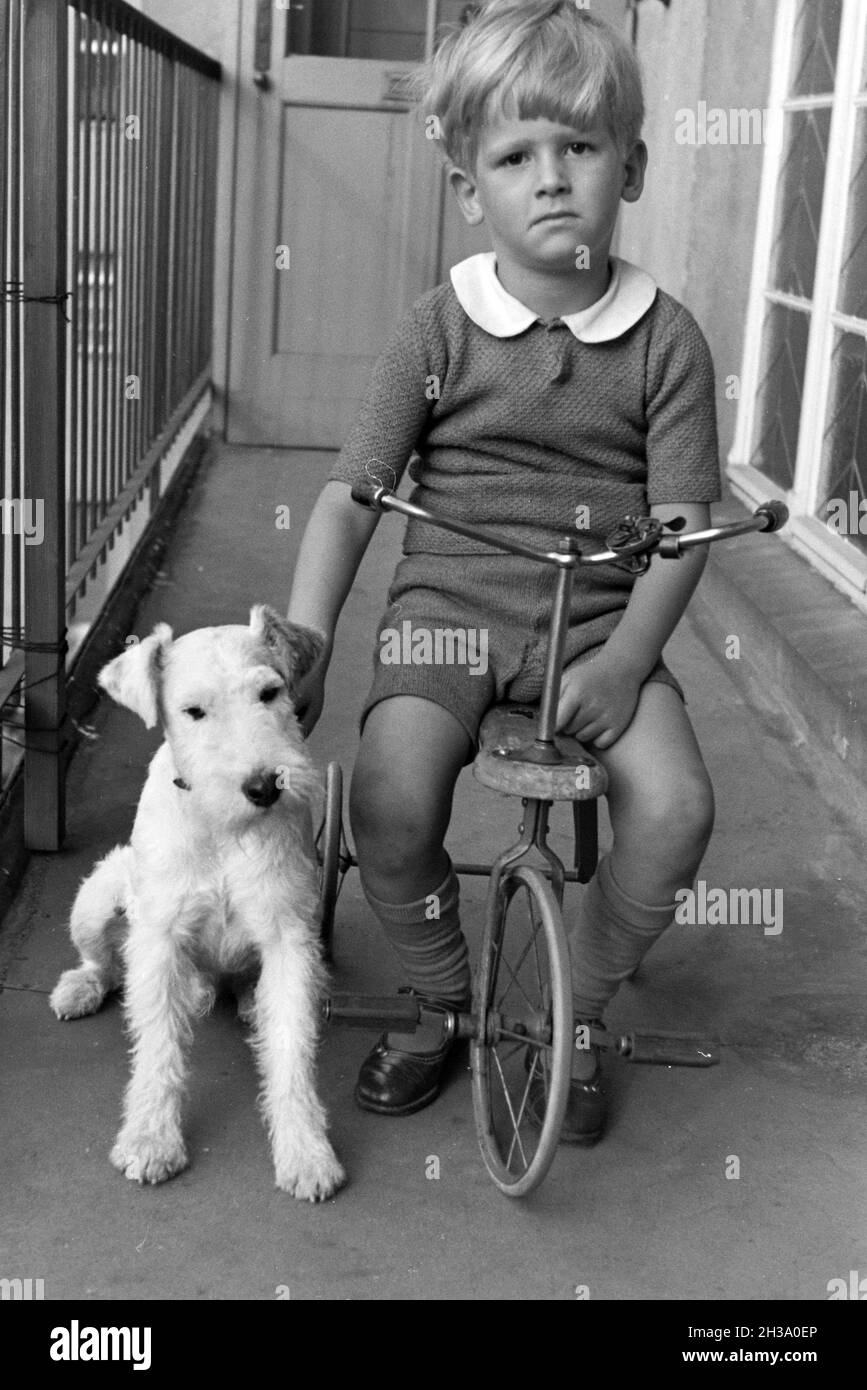 Ein Junge auf einem Dreirad auf einem Balkon hält einen Hund am Halsband fest, Deutschland 1930er Jahre. Boy on a three wheeler on a balcony holding a dog at his collar, Germany 1930s. Stock Photo