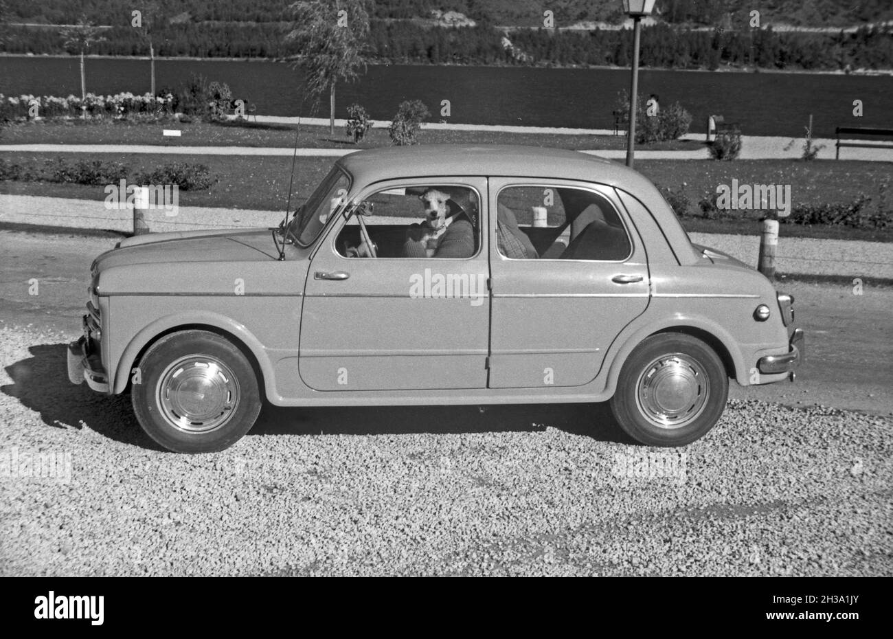 NSU-Fiat 500 Coupé Weinsberg - 1959