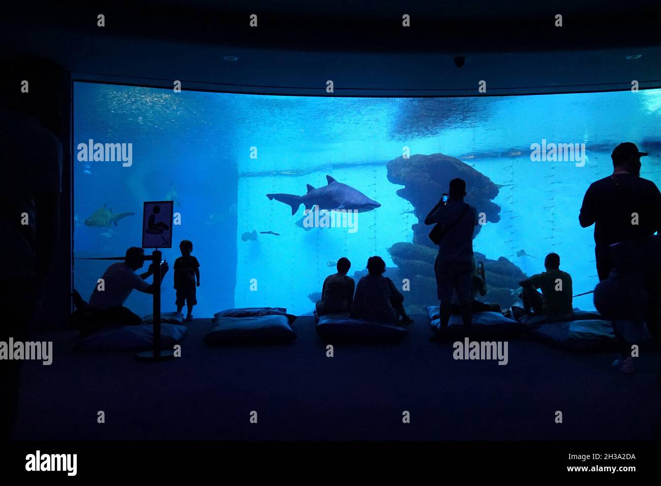 Silhouettes of tourists at Palma Aquarium. Palma de Mallorca, Spain 01.10.2019 Stock Photo