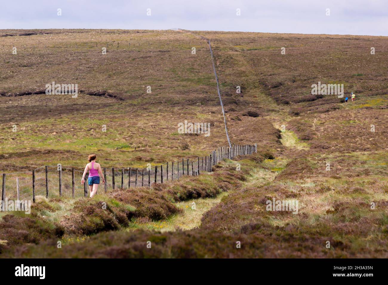 Ronan's Way walking trails in the Glen's of Antrim on the Antrim Coast