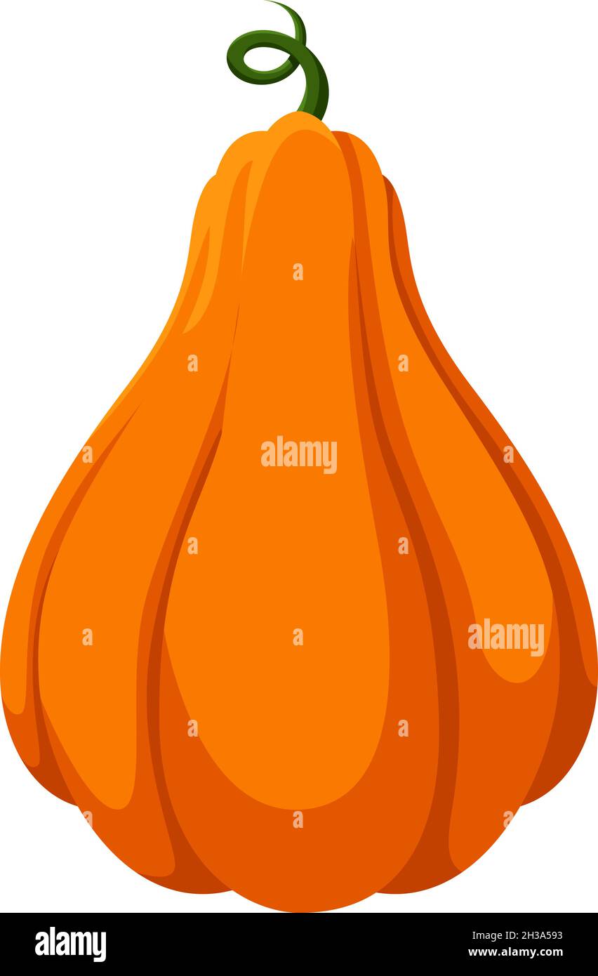 Isolated pumpkin. Gourds plant cute nature planting vegetable Stock Vector Image & Art Alamy