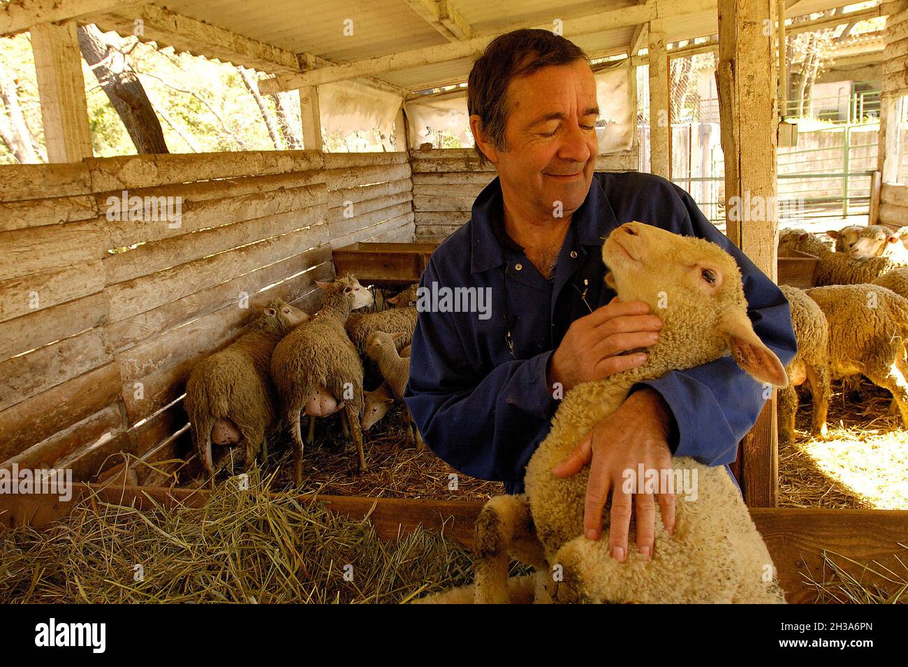 FRANCE. PROVENCE REGION. ALPES-MARITIMES (06)  VALBONNE. THE AFSSA LABORATORIES IN THE SOPHIA ANTIPOLIS BUSINESS PARK. THE PATHOLOGY UNIT FOR GRAZING Stock Photo