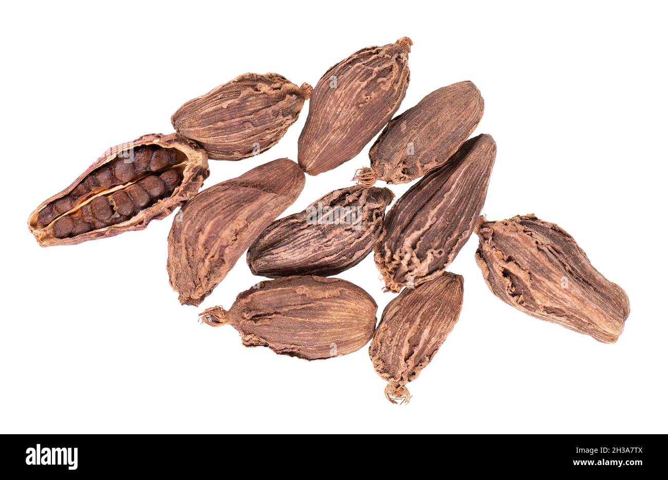 Heap of black cardamom pods isolated on white background. Black