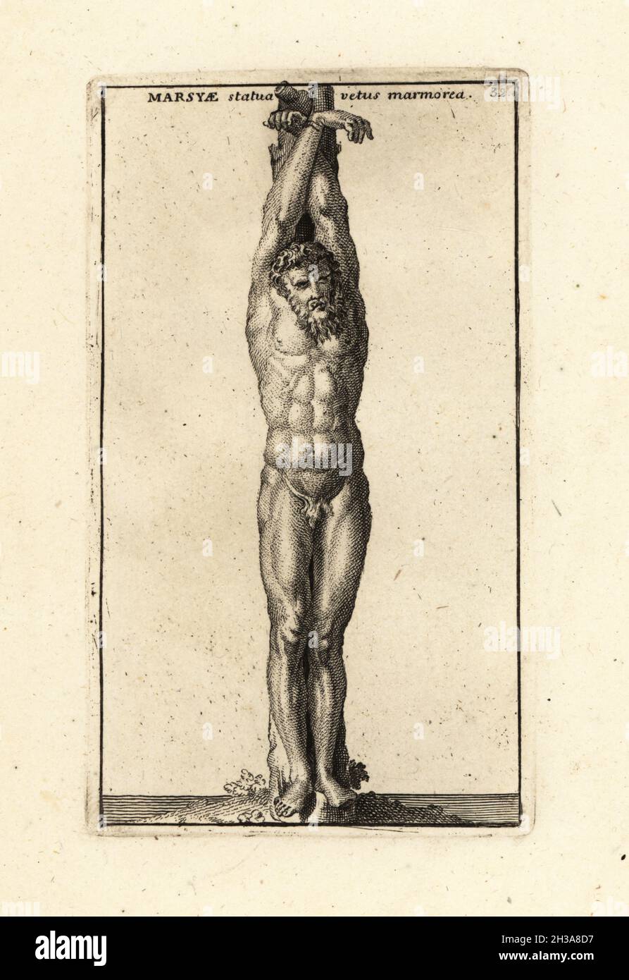 Statue of the satyr Marsyas tied to a tree and flayed alive after a music battle with Apollo. Roman copy from a Greek original of the 4th century BC, now in the Capitoline Museums. Marsyae statua vetus marmorea. Copperplate engraving by Giovanni Battista Cannetti from Copperplates of the most beautiful ancient statues of Rome, Calcografia di piu belle statue antiche a Roma, engraved by Cannetti all'Arco della Ciambella, published by Gaetano Quojani, Rome, 1779. Stock Photo