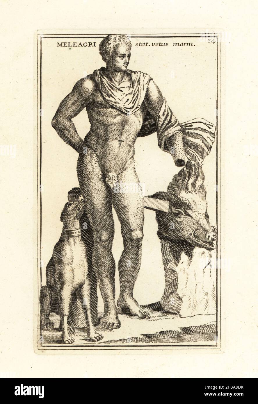 Statue of Meleager, mythical hero of Aetolia, with his hunting dog and the head of the Calydonian boar. Copy of a Greek original of the 4th century BC attributed to Skopas. Now in the Vatican. Meleagri statua vetus marmorea. Copperplate engraving by Giovanni Battista Cannetti from Copperplates of the most beautiful ancient statues of Rome, Calcografia di piu belle statue antiche a Roma, engraved by Cannetti all'Arco della Ciambella, published by Gaetano Quojani, Rome, 1779. Stock Photo