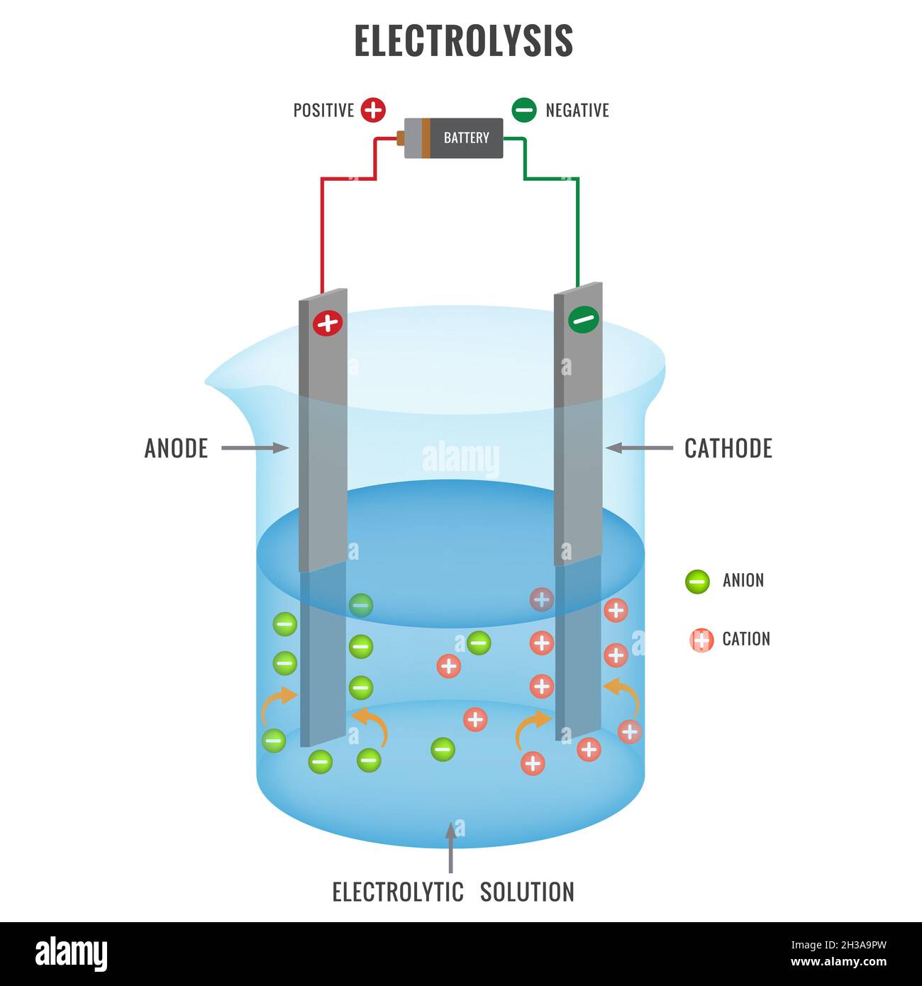 Flat illustration of electrolysis of electrolyte solution in ...